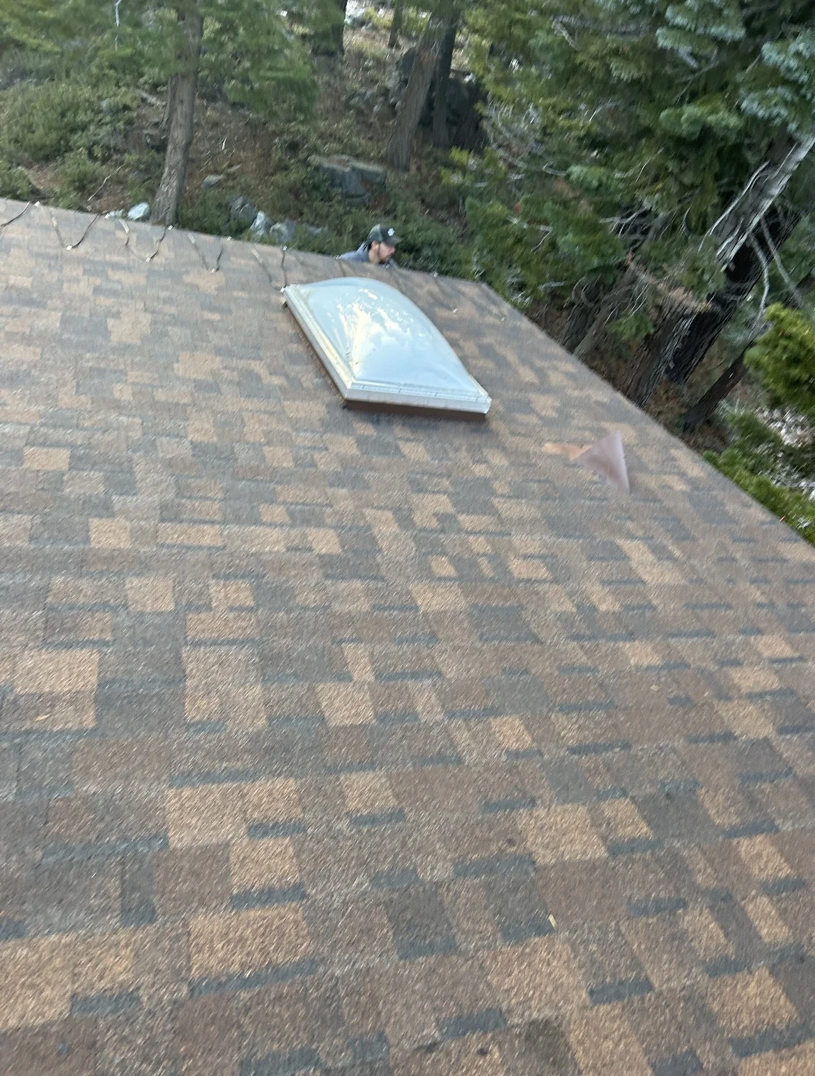 Shingle and skylight detail on the Lake Tahoe roof